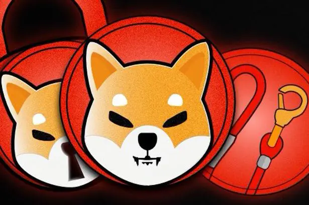 criptomonedas moneda shib criptomonedas moneda shib