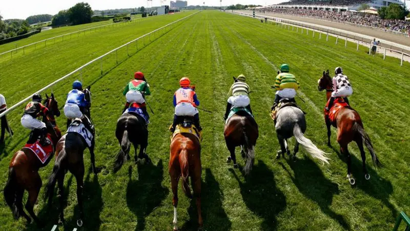 Carreras hípicas de caballos en vivo Carreras hípicas de caballos en vivo