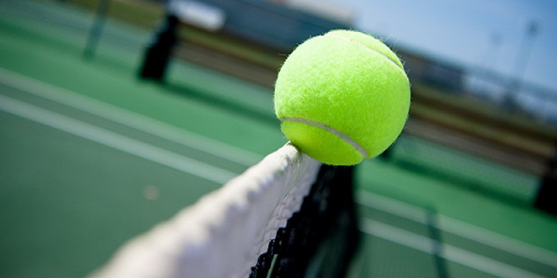 Pelota y red como apostar en tenis