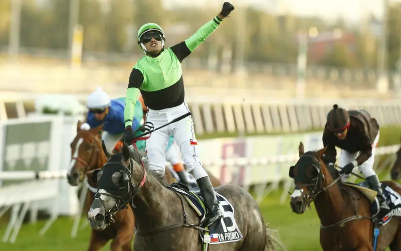 Apuestas hipódromo Apuestas hipódromo