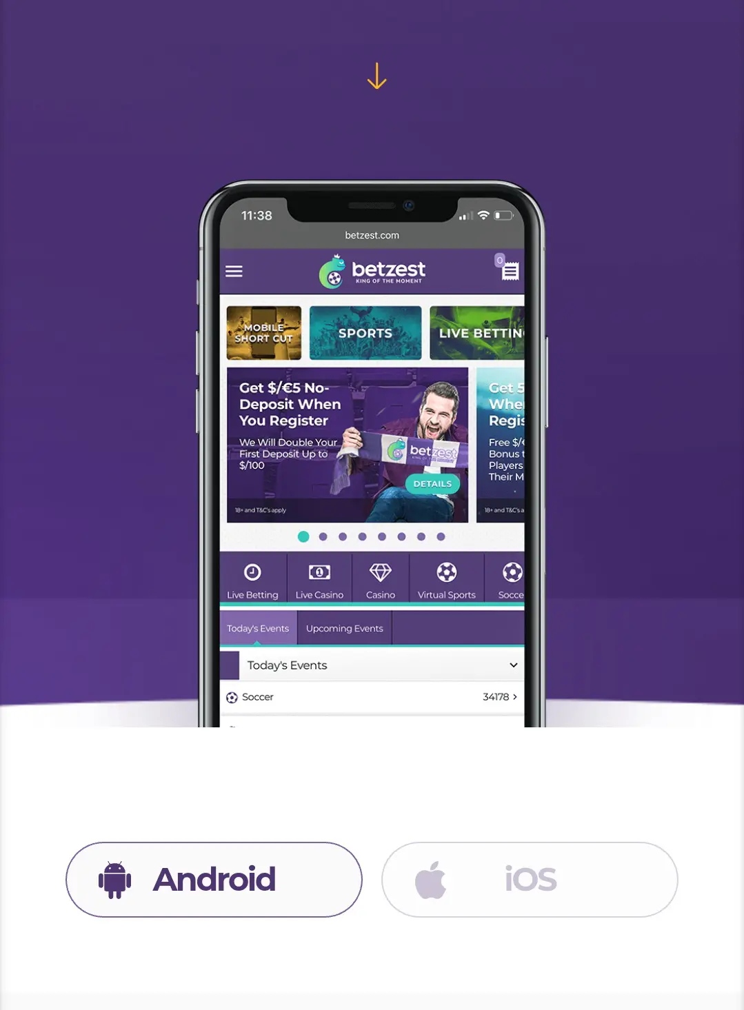 betzest app betzest app