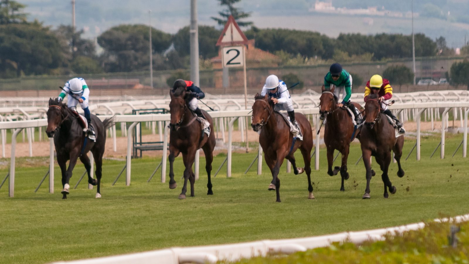 como funcionan las apuestas trixie ejemplo como funcionan las apuestas trixie ejemplo