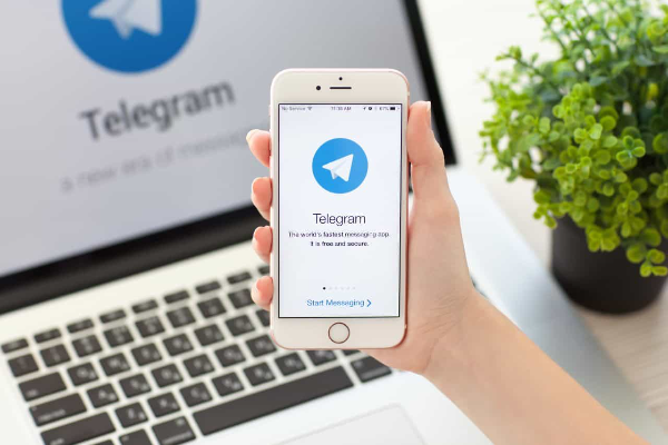 grupos-de-apuestas-deportivas-de-telegram