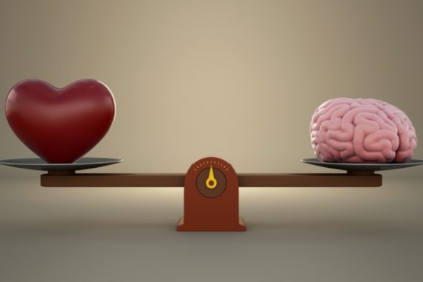 toma-de-decisiones-emocionales toma-de-decisiones-emocionales