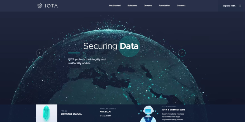 p&aacute;gina-web-iota