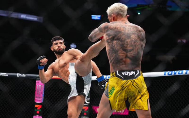 Estilos de MMA