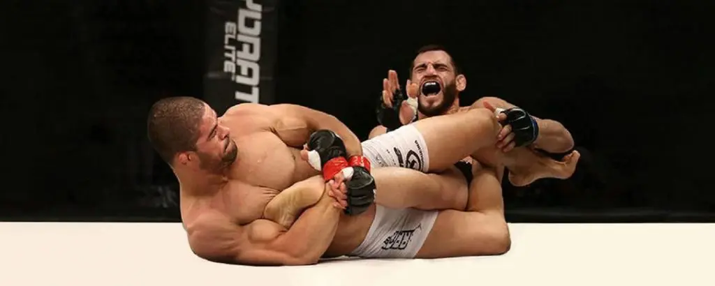 ufc y one championship