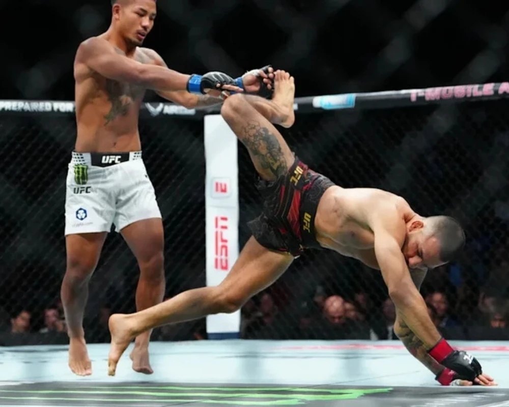 pronosticos-ufc-331-van-vs-pantoja-2