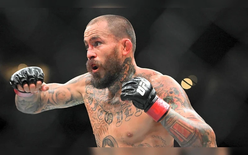 pronosticos-ufc-vera-vs-jourdain pronosticos-ufc-vera-vs-jourdain